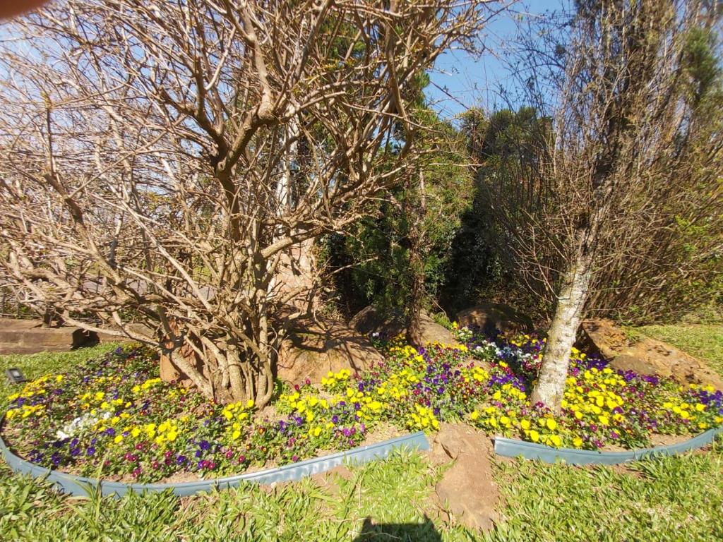 Casa de Campo de Gramado - turismo de isolamento  Casa de Campo de Gramado - turismo de isolamento