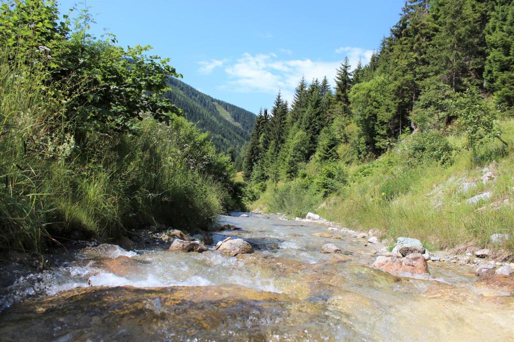 Príroda v okolí apartmánu