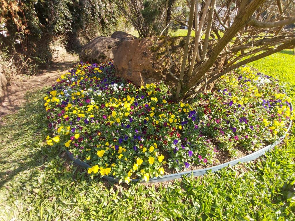 Casa de Campo de Gramado - turismo de isolamento  Casa de Campo de Gramado - turismo de isolamento