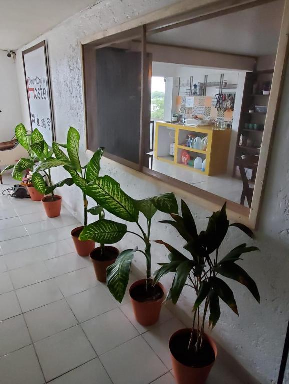 Fotografie z fotogalerie ubytování Downtown Hostel Chetumal v destinaci Chetumal