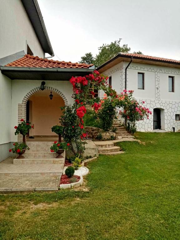 Zahrada ubytování Domaćinstvo Sinđelić