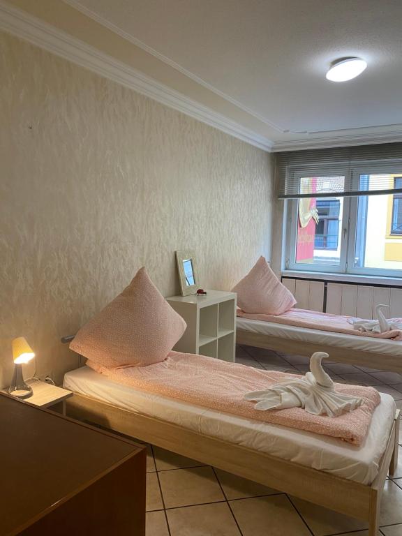 Central Shared Apartment, Friesenplatz - Budget Camera Doppia