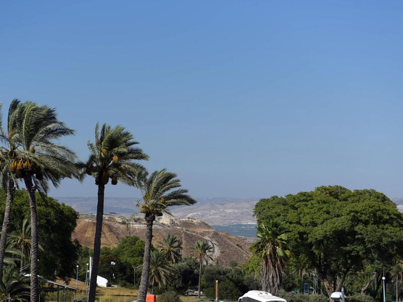 בית אורן - בית דירות - בית שאן - Junior Suite Con Mountain View