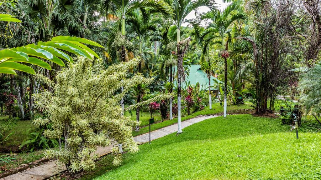 Hotel Villas Rio Mar photo