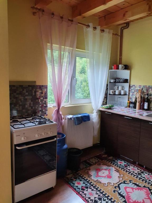 Kuchyň nebo kuchyňský kout v ubytování Casa Dor de Ea