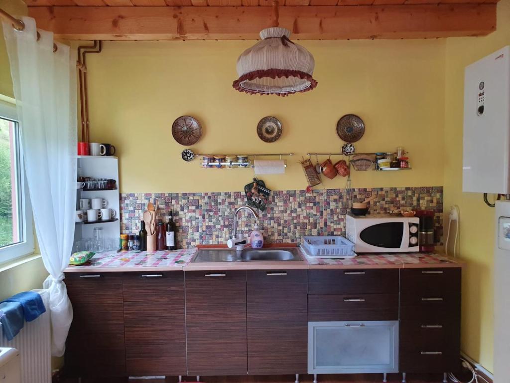 Kuchyň nebo kuchyňský kout v ubytování Casa Dor de Ea