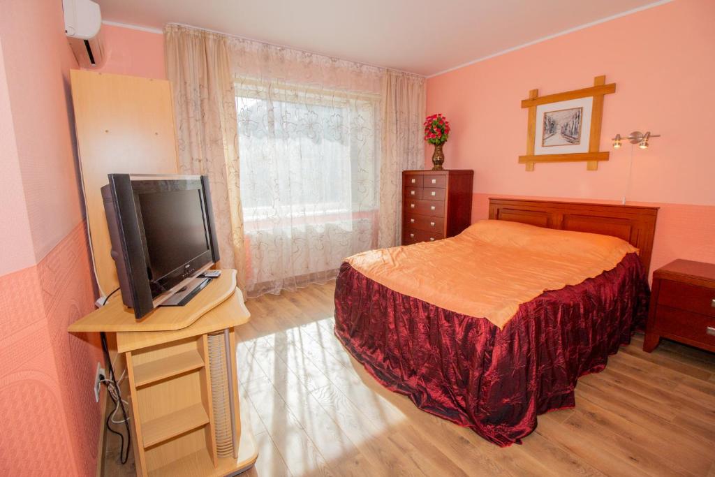 TV a/nebo společenská místnost v ubytování Fortuna Apartments
