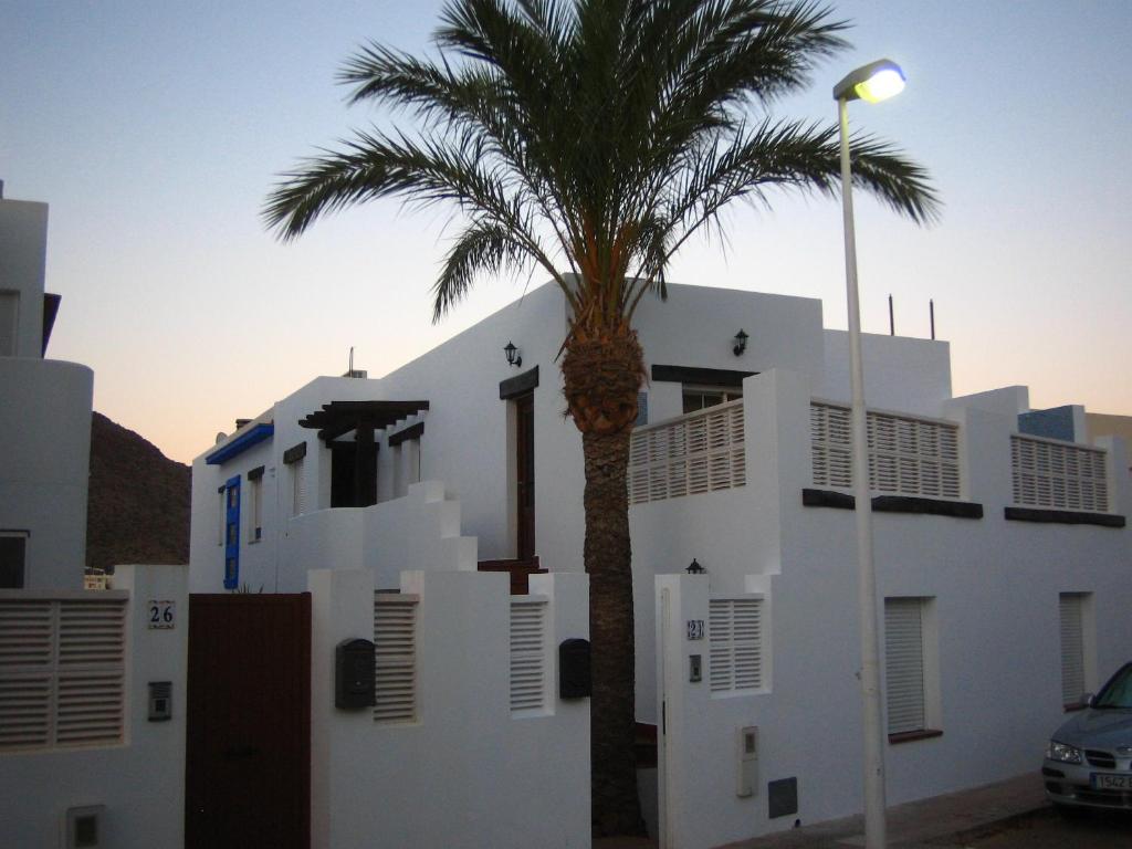 a palm tree in front of a white building at Apartamentos Manbea in San José