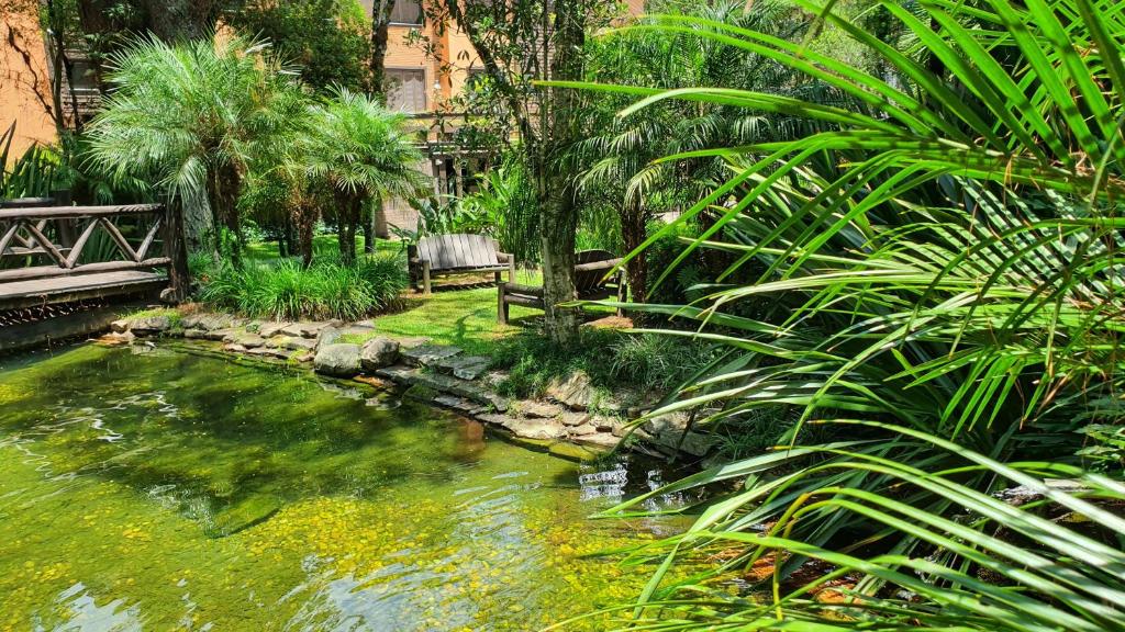 Apto de 1D Conforto no Knorrville Gramado  Apto de 1D Conforto no Knorrville Gramado