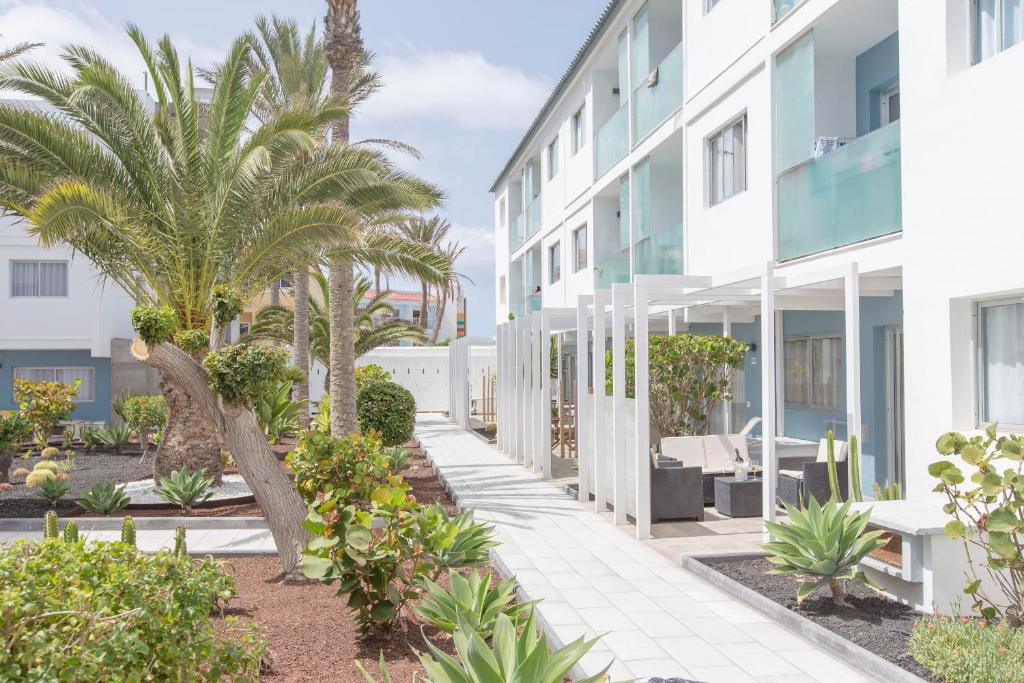 a view of the courtyard of a building with palm trees at La Perla de Sunset Beach in Corralejo