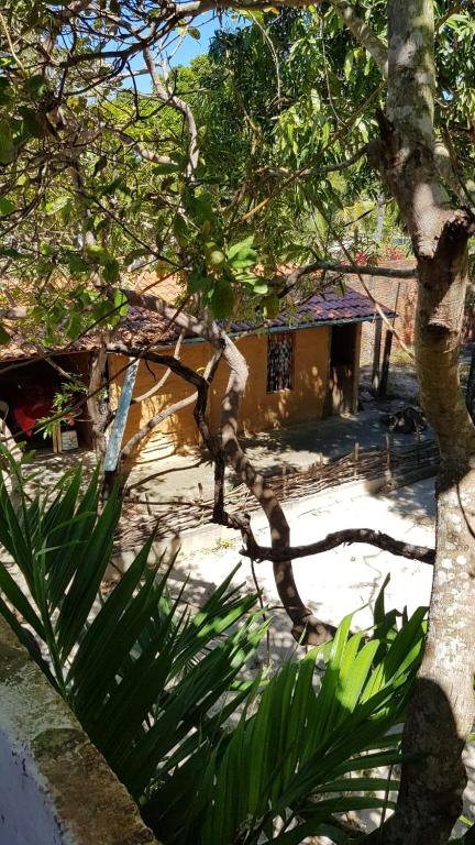  Rancho Colcha de Retalho