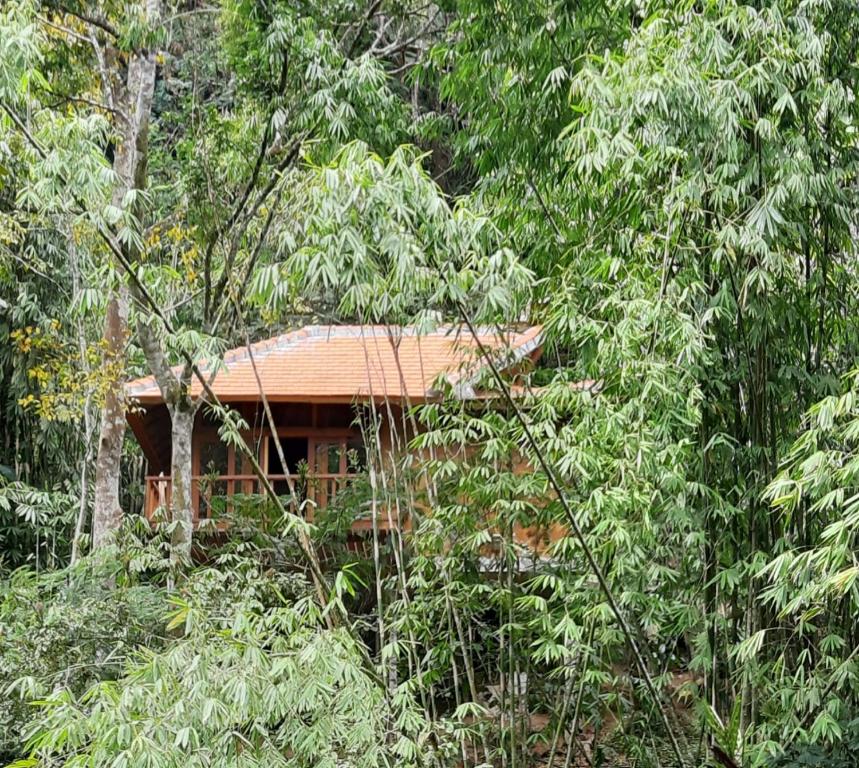 Gumi Ayu EcoHotel
