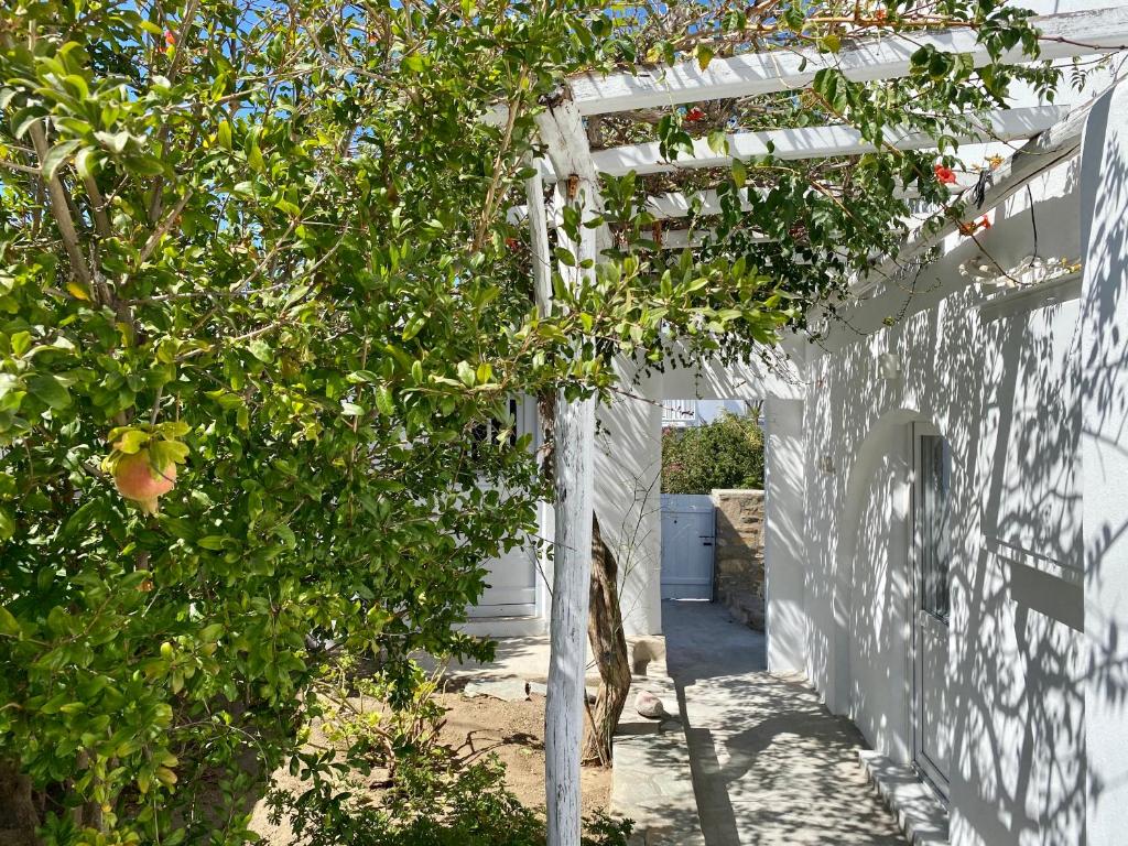 Vonkajšia záhrada v ubytovaní Maria Elena - Suite Home