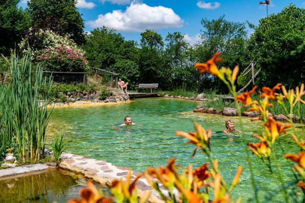 a group of people swimming in a pond at Landhotel Gut Wildberg mit Badeteich und großem Garten in Meißen