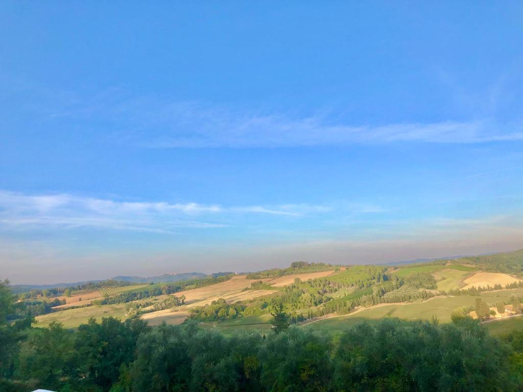 vista su un campo alberato e collinare di Casa Vicolo a Peccioli