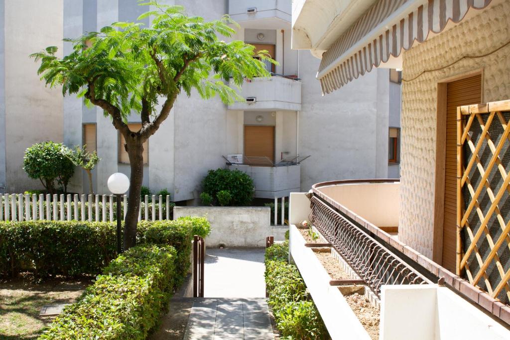 dziedziniec z drzewem i budynek w obiekcie Grande appartamento sul lungomare a Villa Rosa (TE) w miejscowości Alba Adriatica