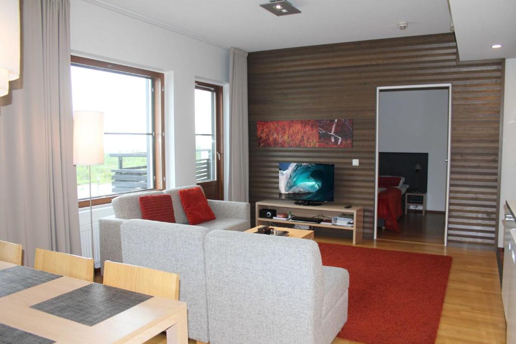 - un salon avec un canapé et une télévision dans l'établissement Ylläs Majoitus Chalets 8, 8101, à Ylläsjärvi
