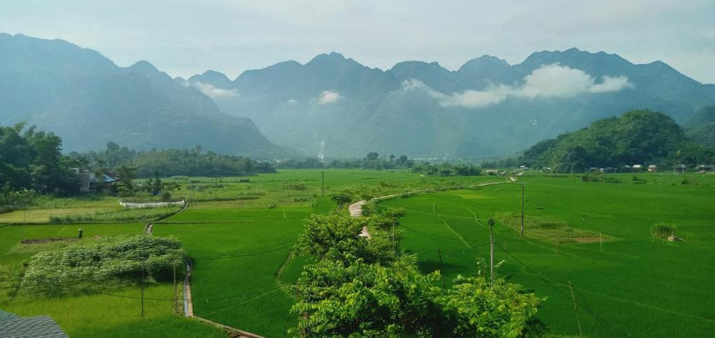 Truong Huy Homestay في ماي تشاو: حقل أخضر مع جبال في الخلفية