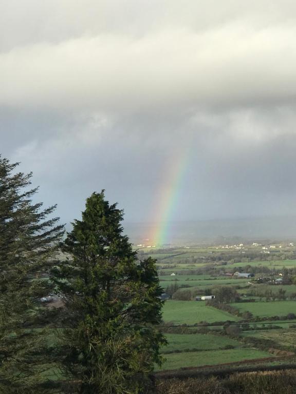 a rainbow in the sky over a field with a tree at The Collins,Our View from The Top in Listowel