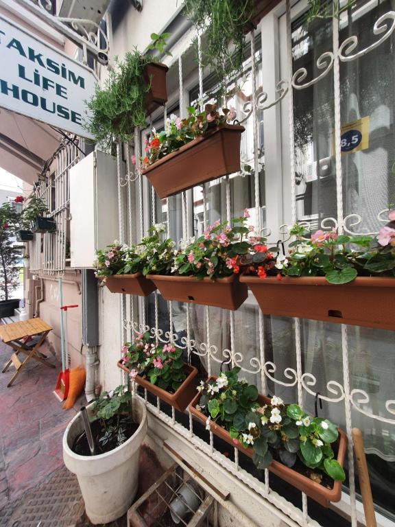 a building with potted plants on the side of it at TAKSİM LİFE HOUSE in Istanbul