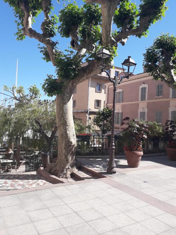 Ein Baum auf einem Bürgersteig neben einem Gebäude in der Unterkunft LA GRANDE MAISON centre in Bandol