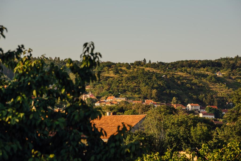 Příroda nedaleko apartmánu