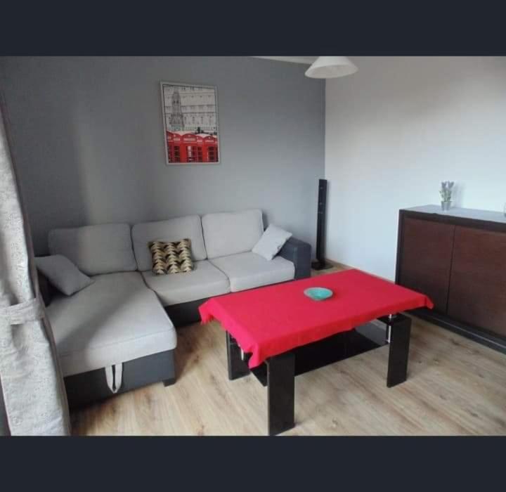 salon z kanapą i czerwonym stołem w obiekcie Apart Bella w Uniejowie