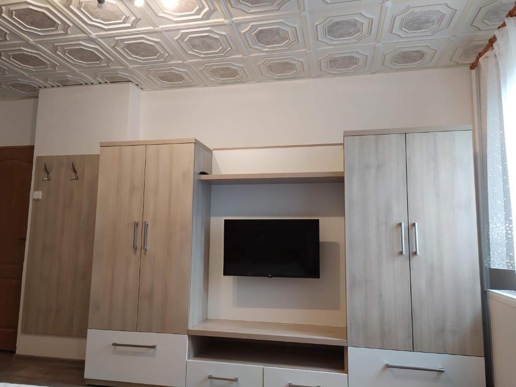 Telewizja i/lub zestaw kina domowego w obiekcie Apartmány Okoun