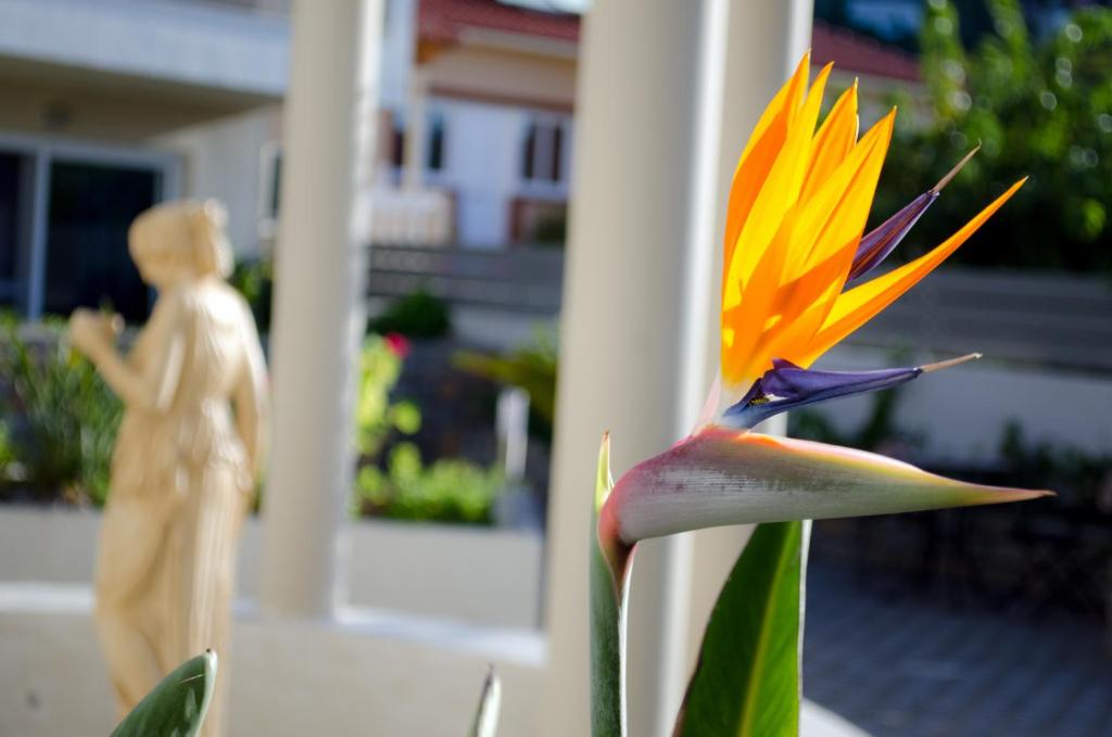 Zahrada ubytování Hotel Estia
