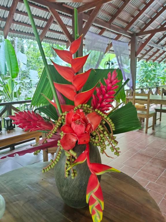 Fotografie z fotogalerie ubytování Finca Ardilla Jungle Lodge v destinaci Cocles