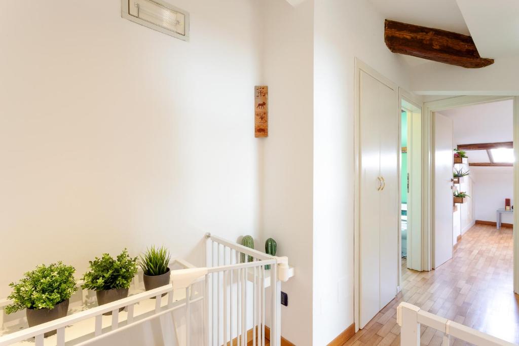 Фотография из галереи Casa Ginevra - 3 Minutes Walk from the Sea в Ливорно