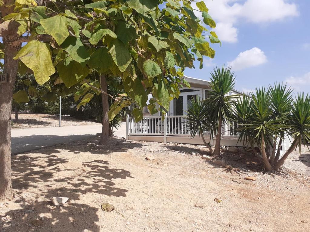 Bungalow 45, San Jorge, Spain - Booking.com
