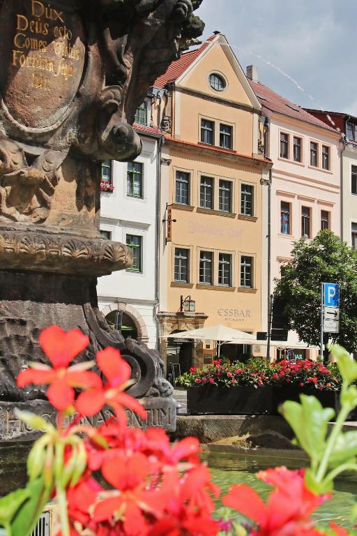 ツィッタウにあるHotel Zittauer Hofの建物前の花の噴水
