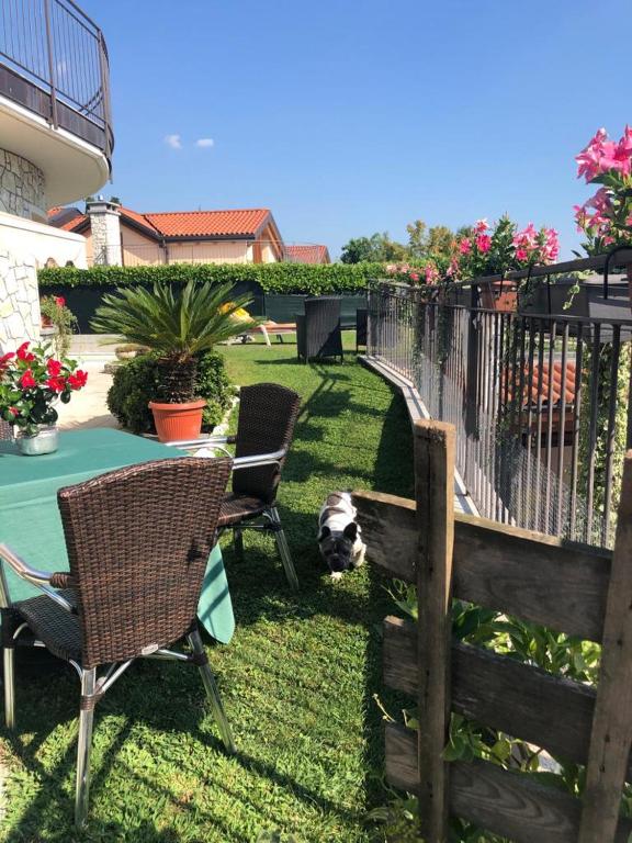 Zahrada ubytování Il Sasso Bianco