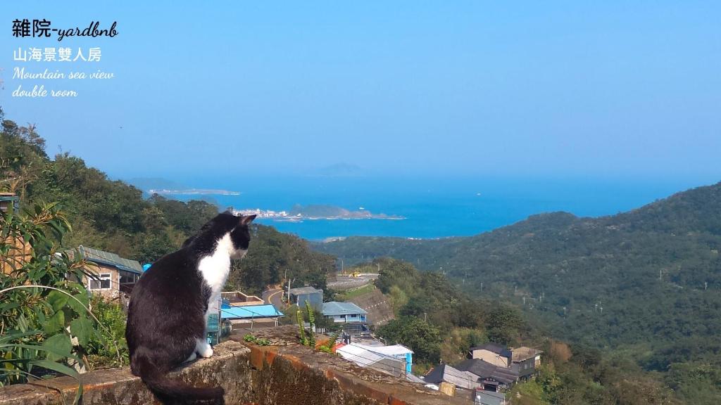 a black and white cat sitting on a wall looking at the ocean at Yardbnb 1F in Jiufen