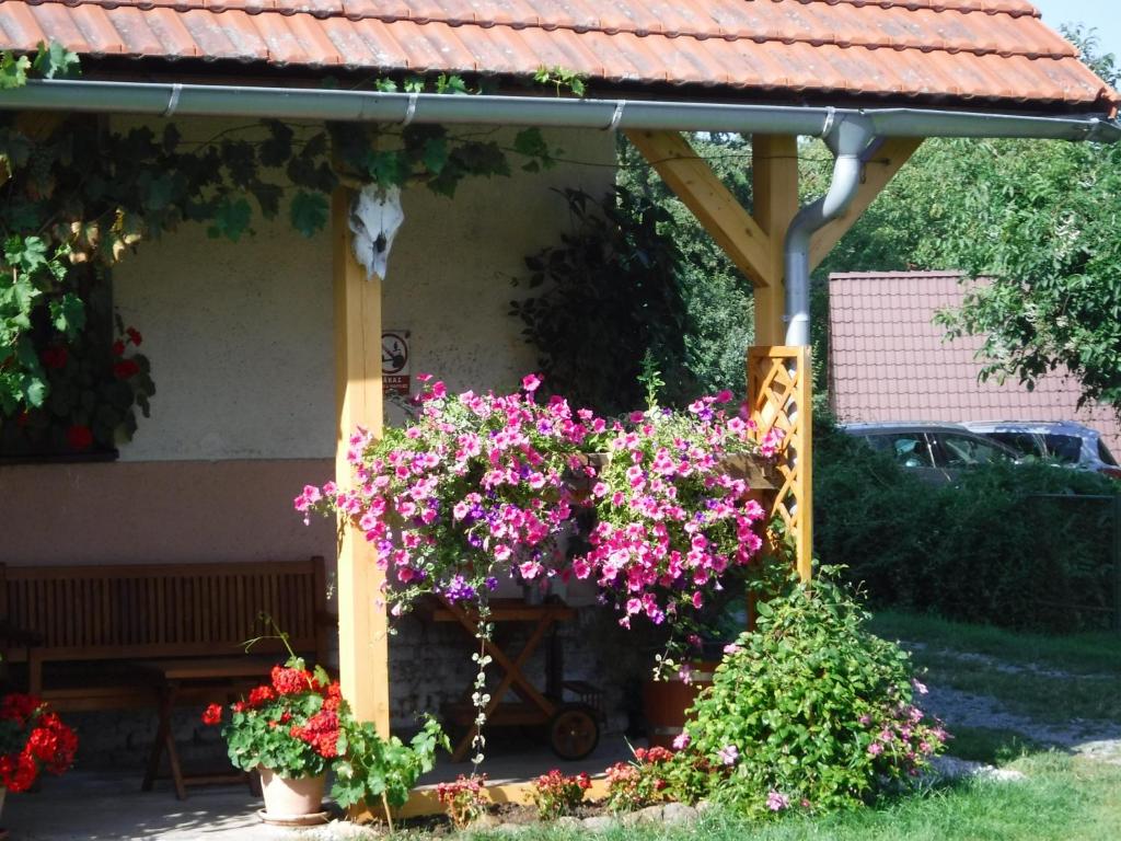 Zahrada ubytování Farma Zahradnice