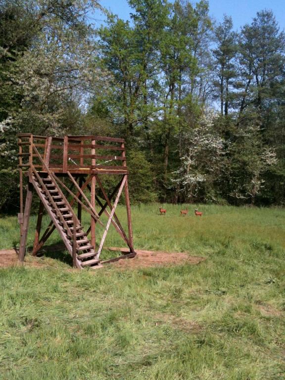 Fotografia z galérie ubytovania Agriturismo Altana Del Motto Rosso v destinácii Gattico