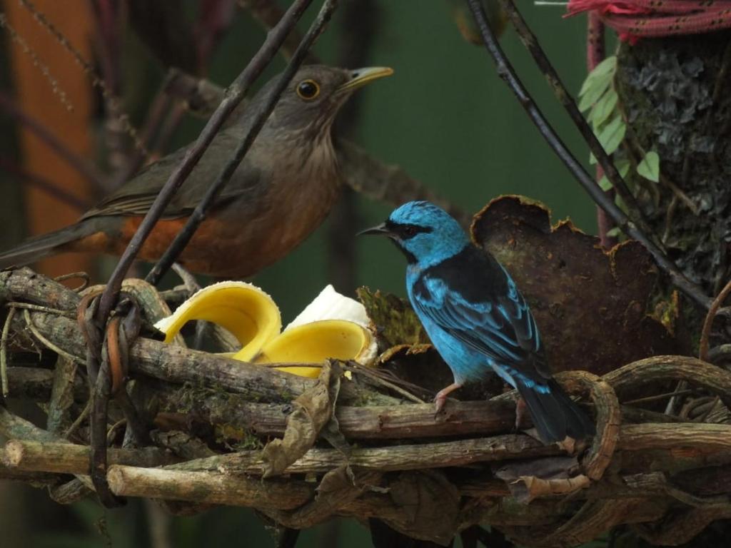  Casa na praia de Itamambuca na cidade de Ubatuba