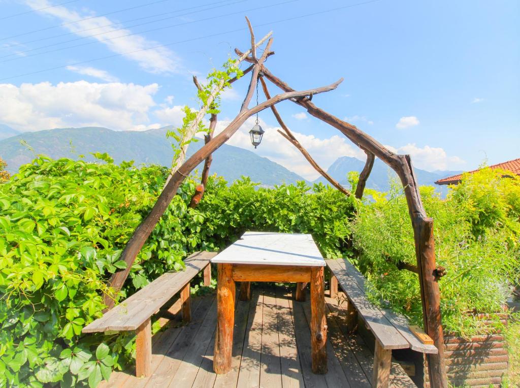 a picnic table and benches in front of a vineyard at The Lodge in San Siro