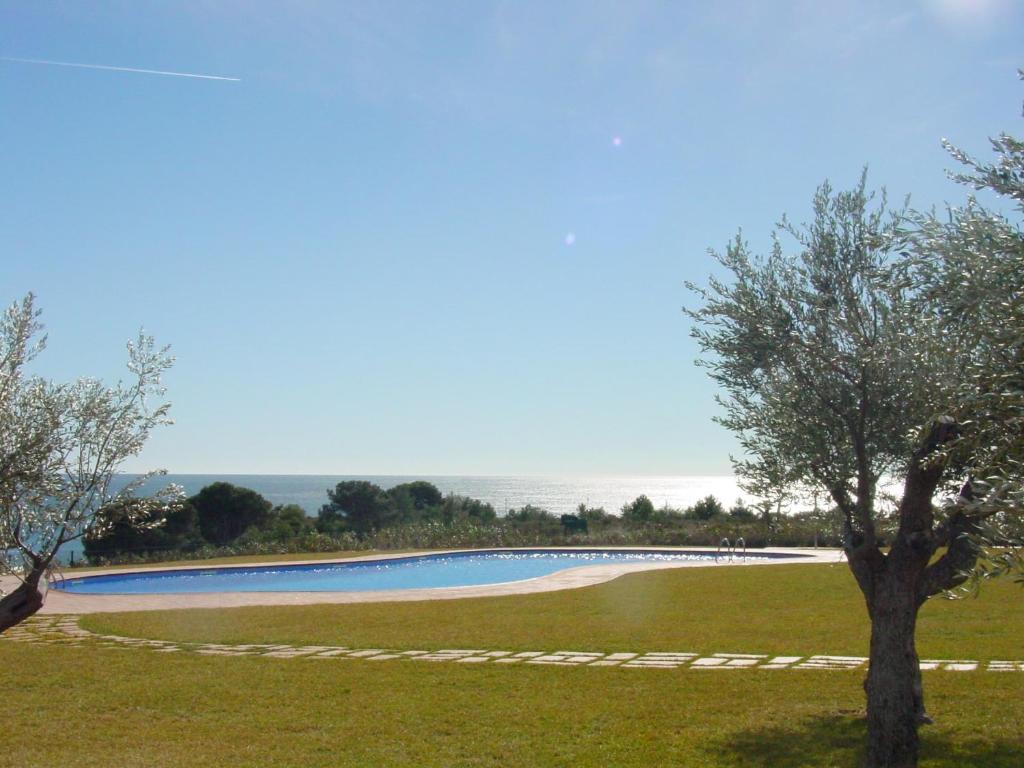 ein großer Wasserpool auf einem Feld mit einem Baum in der Unterkunft Amplio Adosado en Primera Linea de Mar (MSJ78) in L'Ametlla de Mar