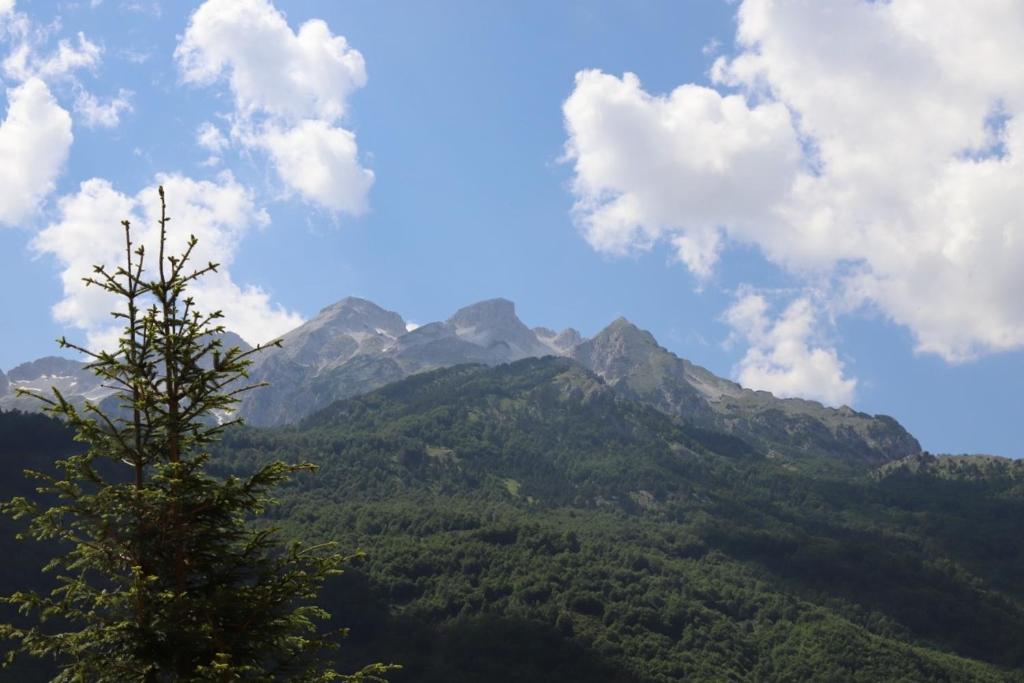 Bujtina Malaj - Imazhi 12