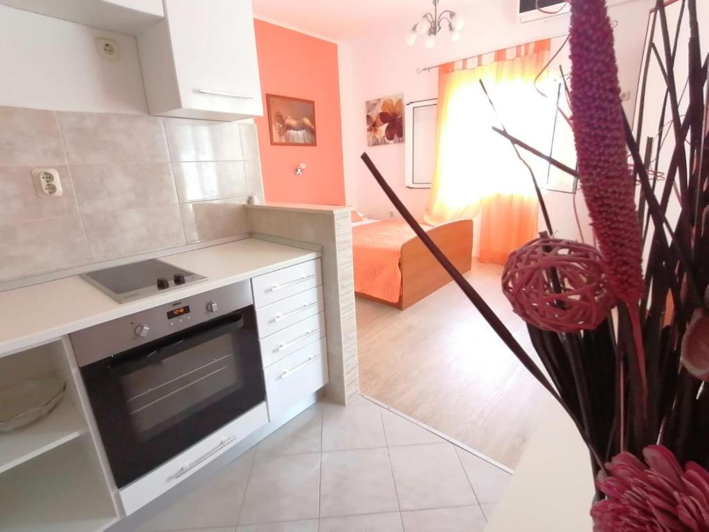 Kuchyň nebo kuchyňský kout v ubytování Apartments & Rooms Vitt