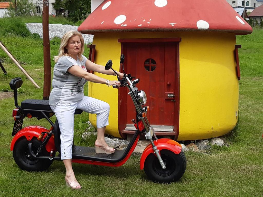 Hostia v ubytovaní Chata Emka