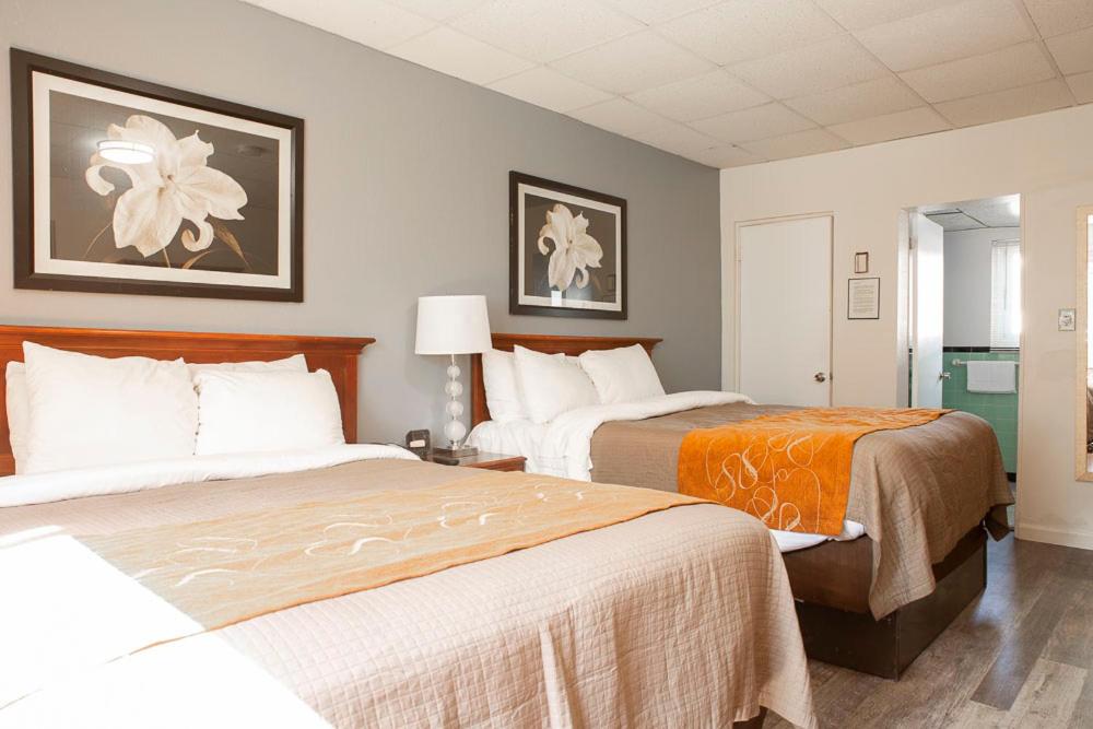 Postel nebo postele na pokoji v ubytování Bedford Motel