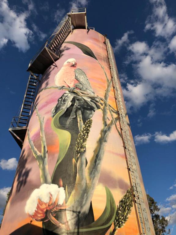 Fotografie z fotogalerie ubytování Moura Motel v destinaci Moura