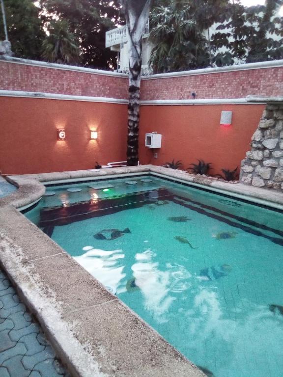 CASA FERCER BIG MEXICAN STYLE HOUSE & POOL