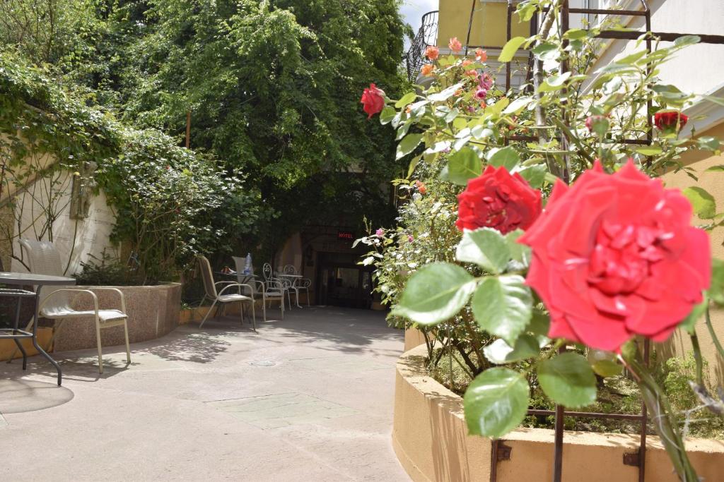 Zahrada ubytování Hotel Michelangelo