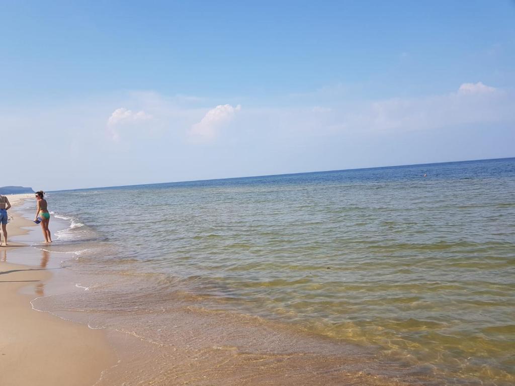 Příroda nedaleko prázdninového domu