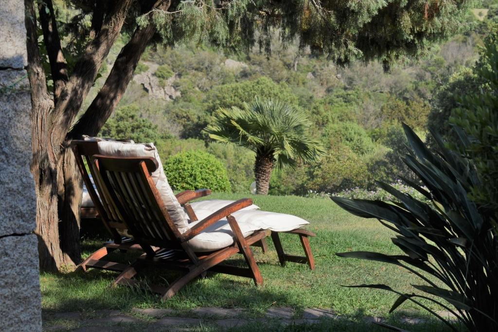 une chaise à bascule assise dans l'herbe sous un arbre dans l'établissement B&B La Murichessa, à Arzachena