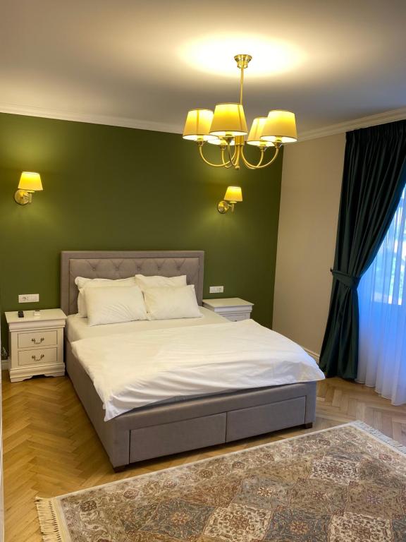 シビウにあるCasa Ayanの緑の壁のベッドルーム1室(大型ベッド1台付)